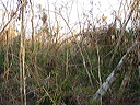 dsc00478